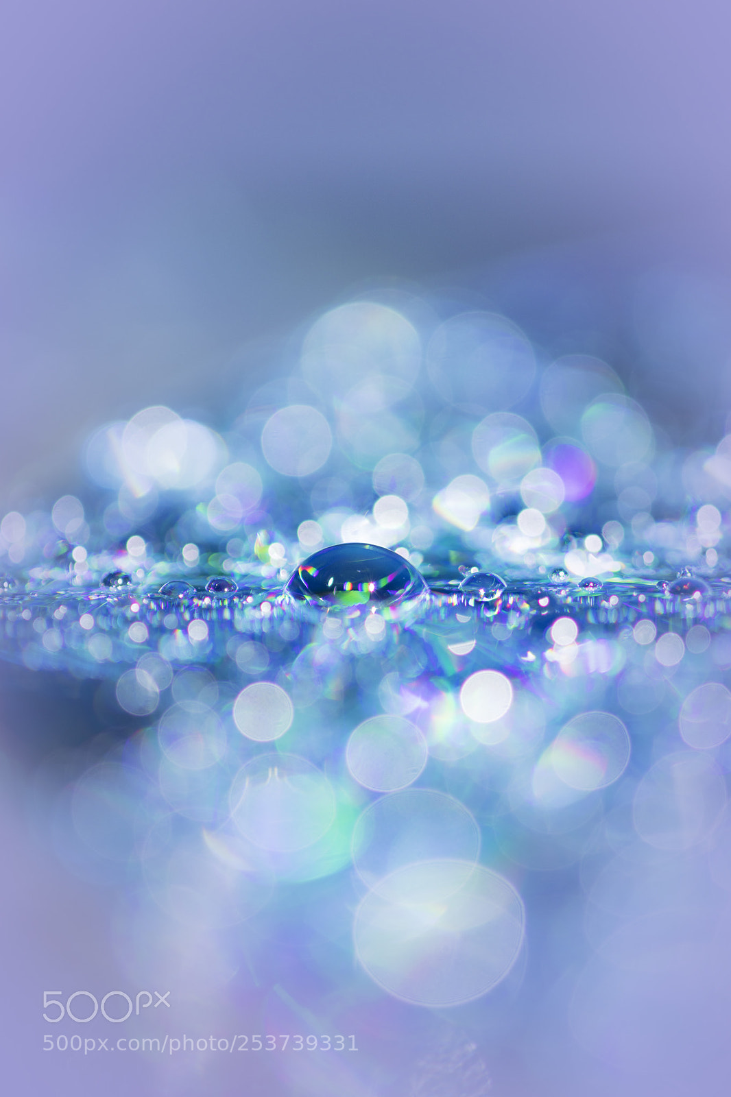 Nikon D5500 sample photo. Blue drop with magical photography