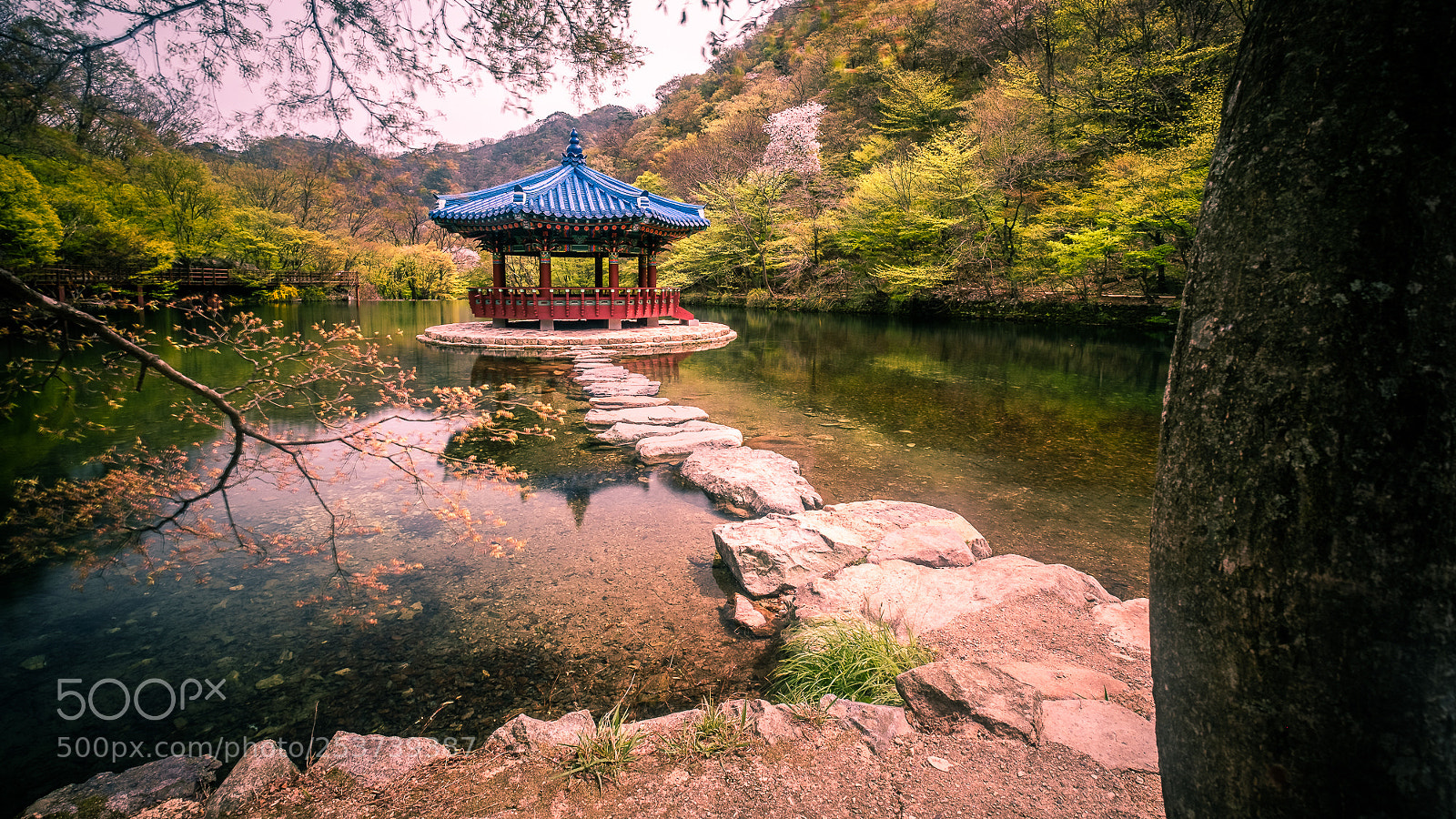 Fujifilm X-Pro2 sample photo. Feather pavilion - south photography