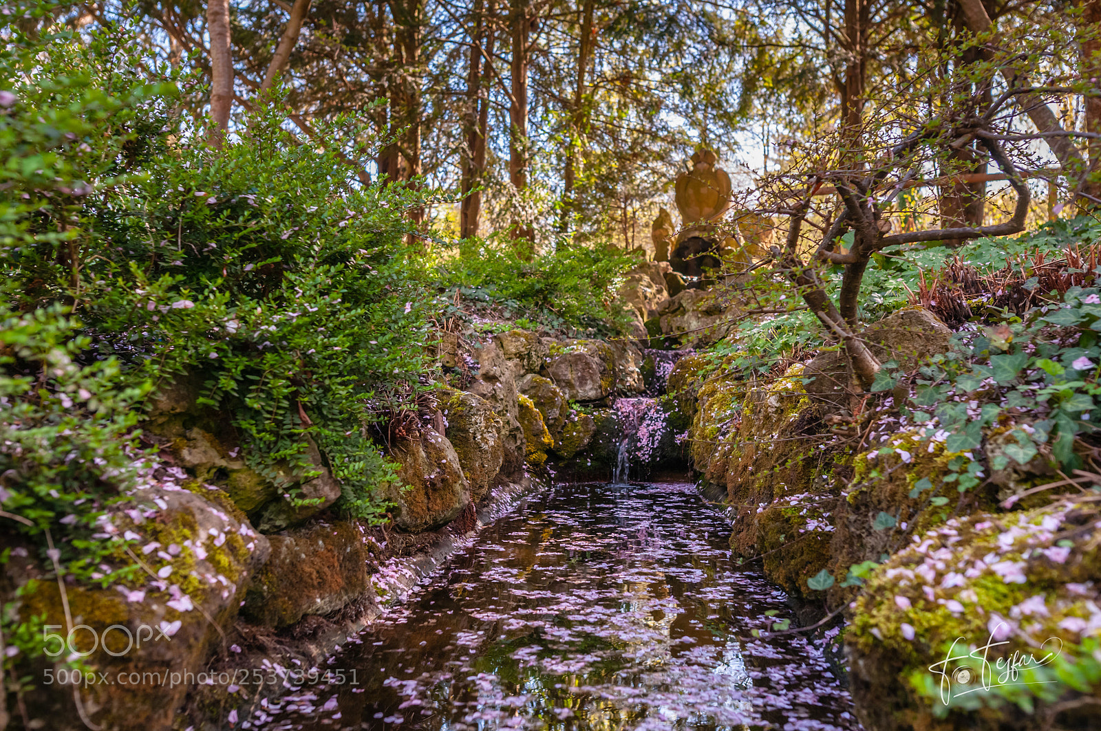 Nikon D300 sample photo. Spring at wuerzburg s photography