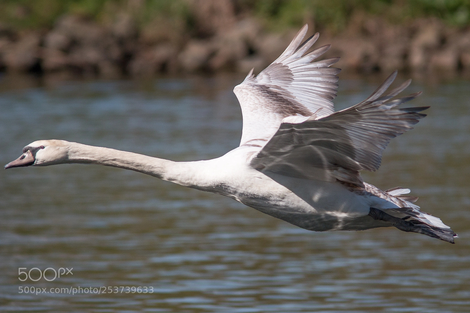 Canon EOS 70D sample photo. In flight photography