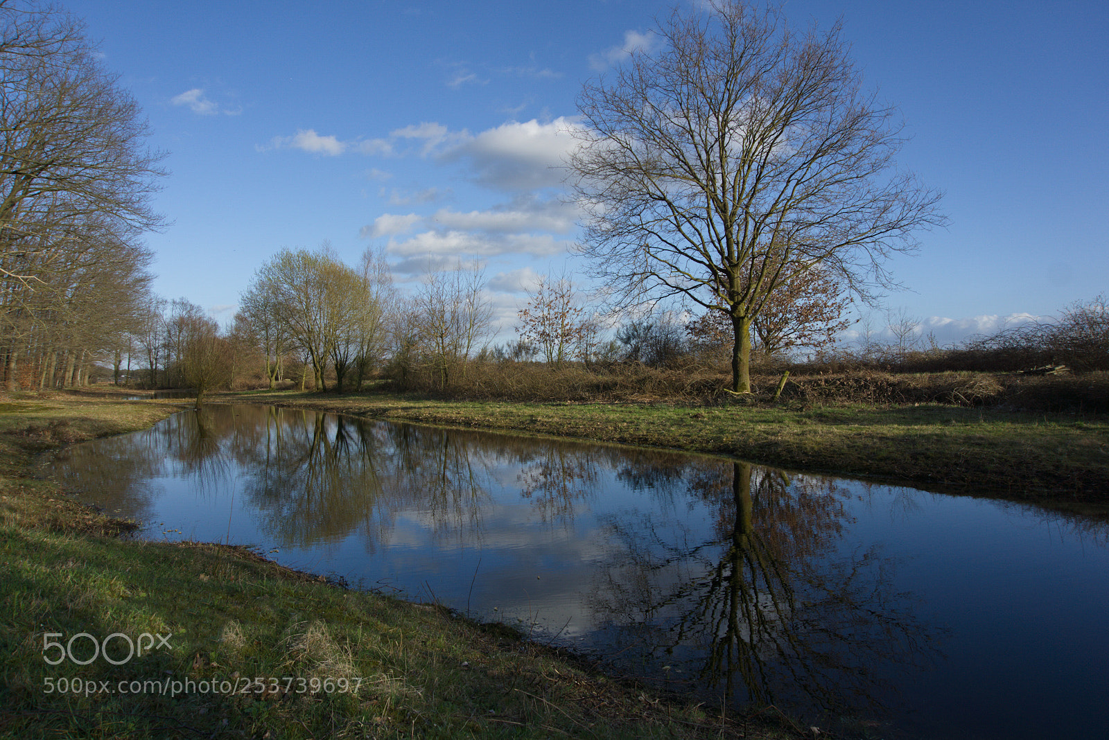 Sony a6000 sample photo. Where the toads and photography