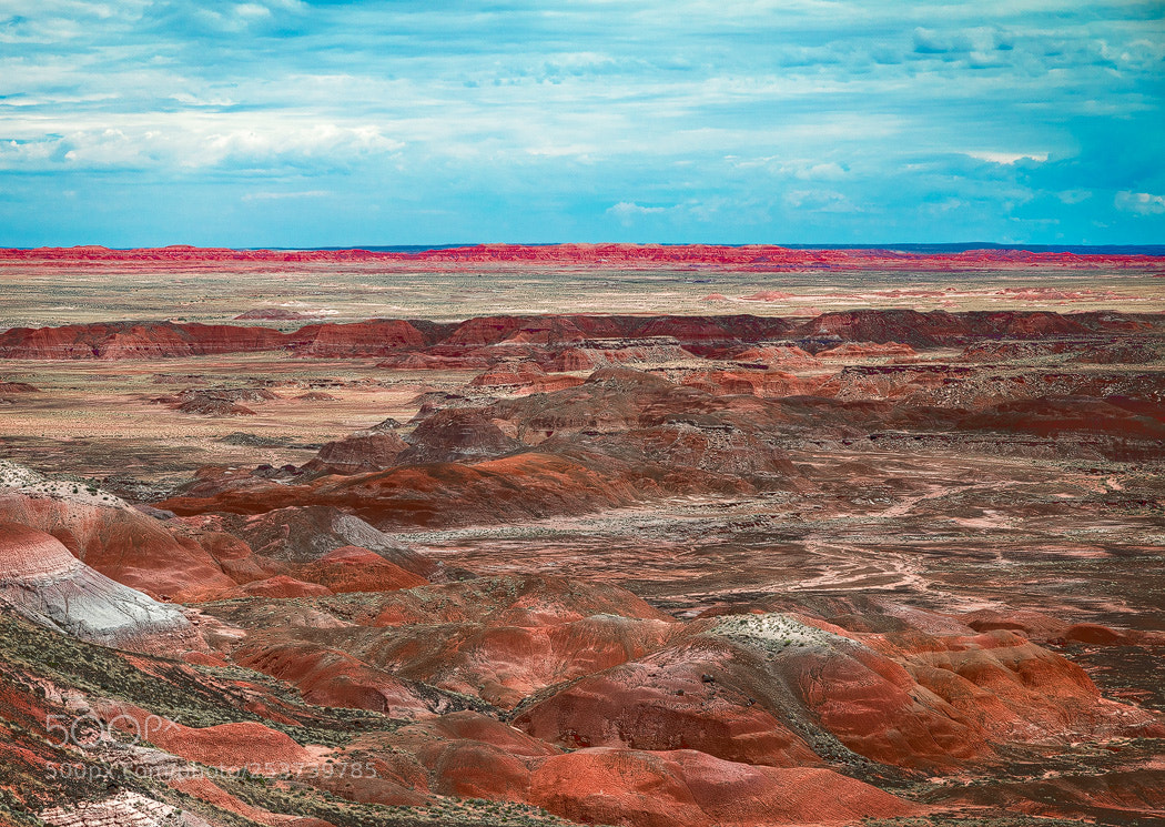 Canon EOS 5D Mark IV sample photo. Painted desert photography