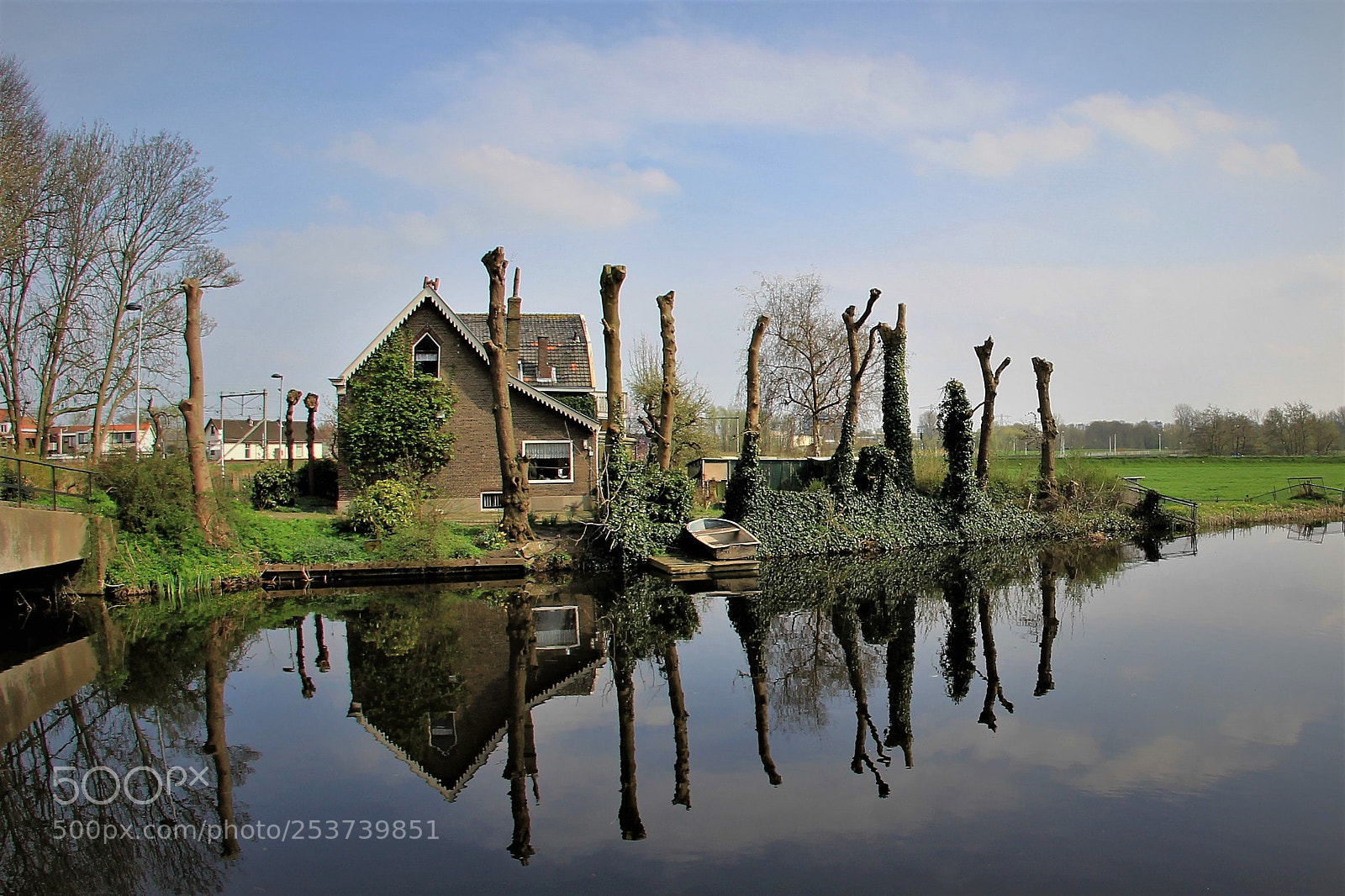 Canon EOS 60D sample photo. Water mirror photography