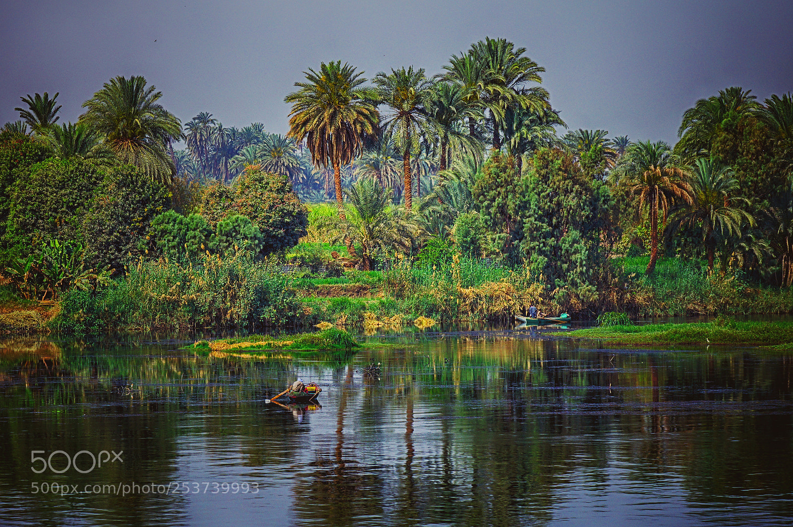 Sony SLT-A77 sample photo. Nile photography
