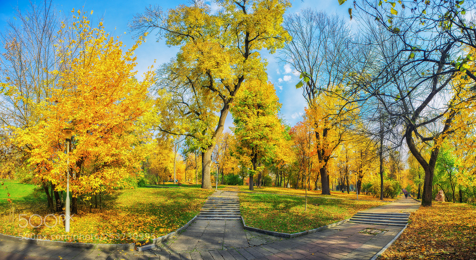 Nikon D800E sample photo. Colors of autumn photography