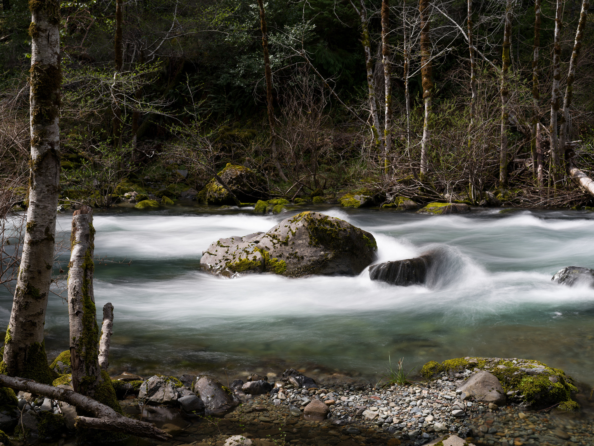 Pentax 645Z sample photo. Patrick creek photography