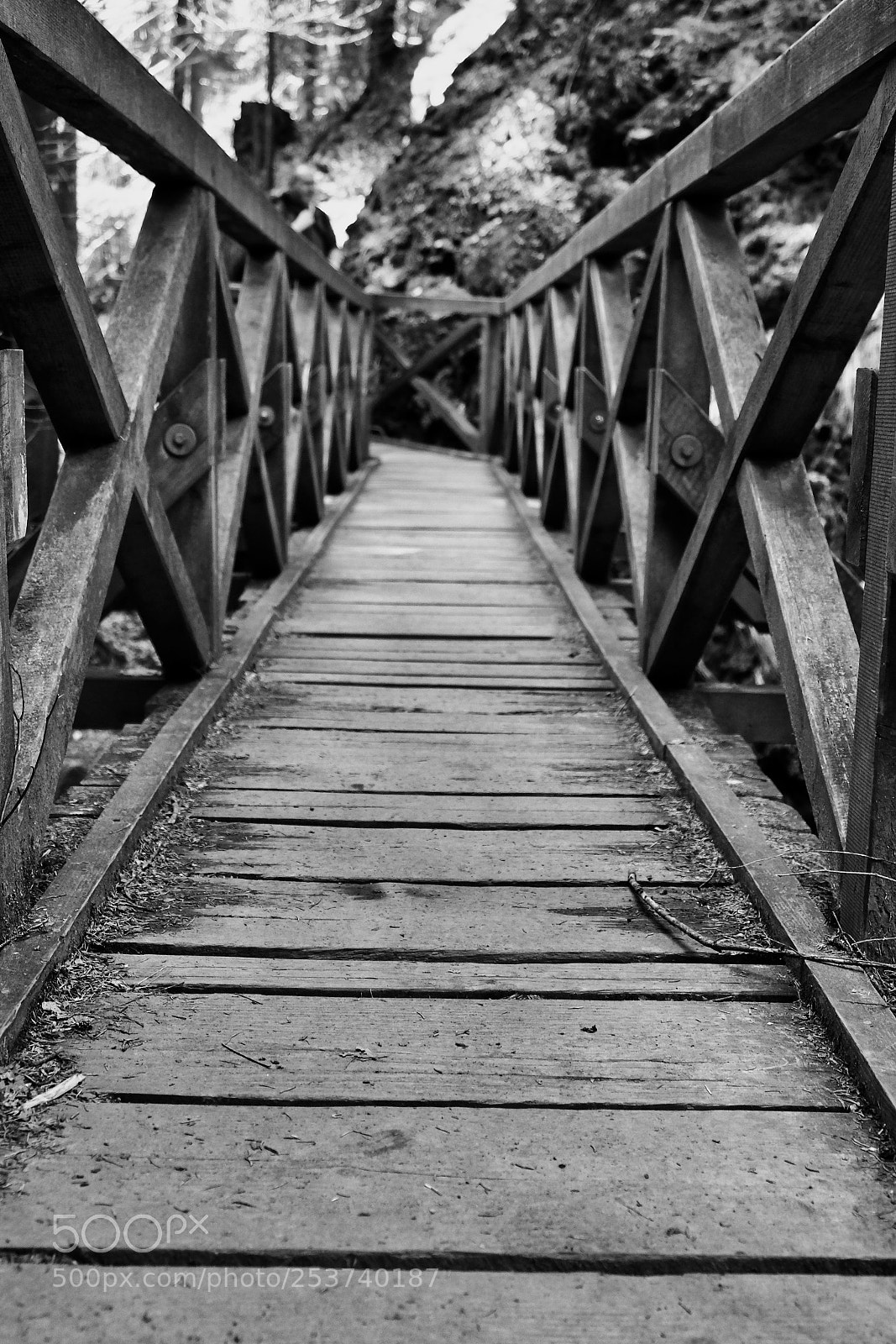 Fujifilm X-Pro2 sample photo. The bridge photography