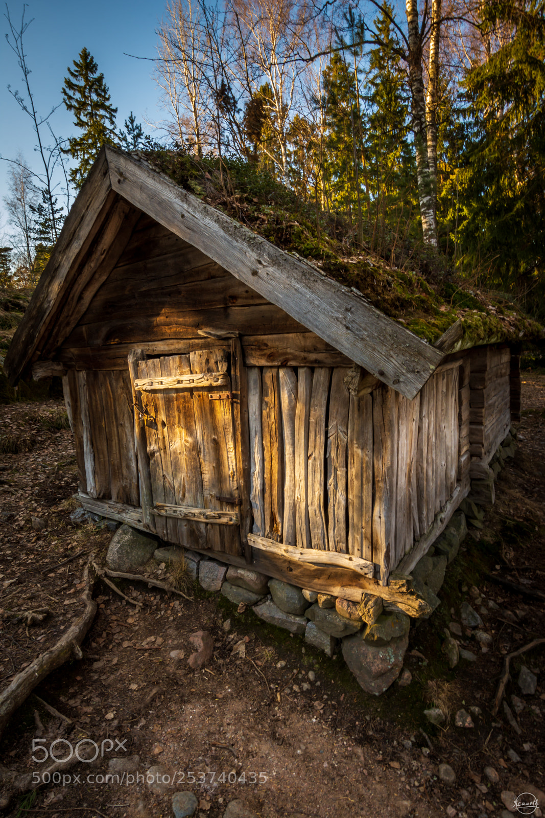 Nikon D7200 sample photo. Primitive architecture photography