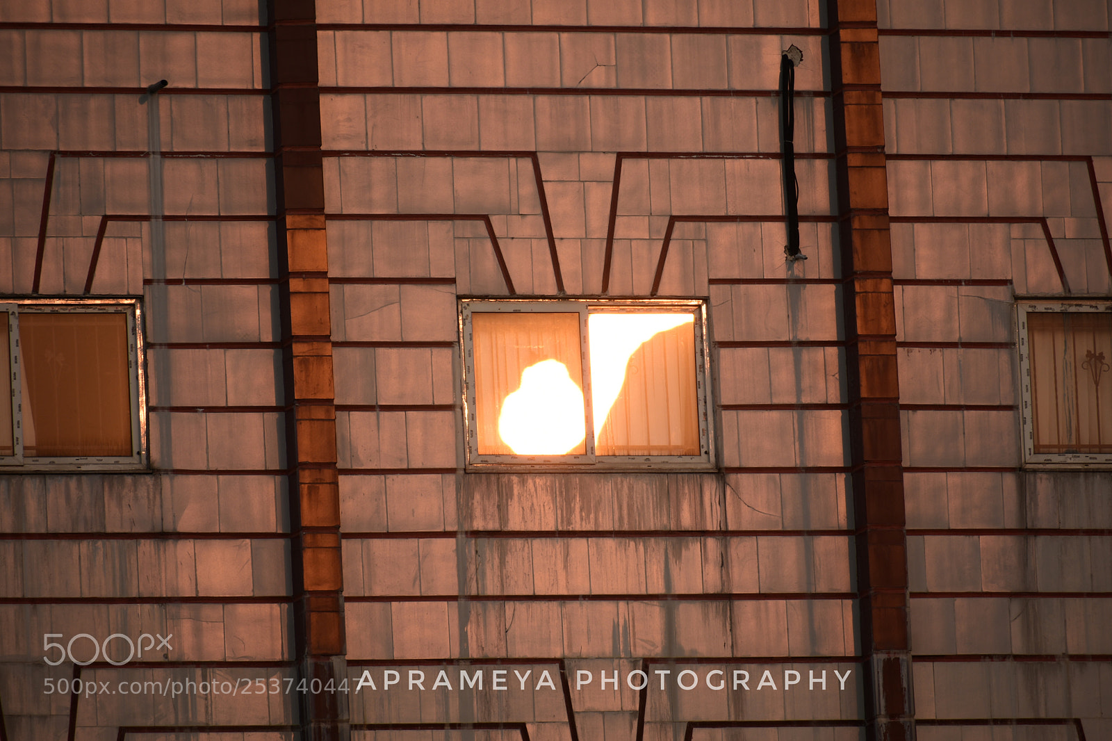 Nikon D3400 sample photo. Untitled photography