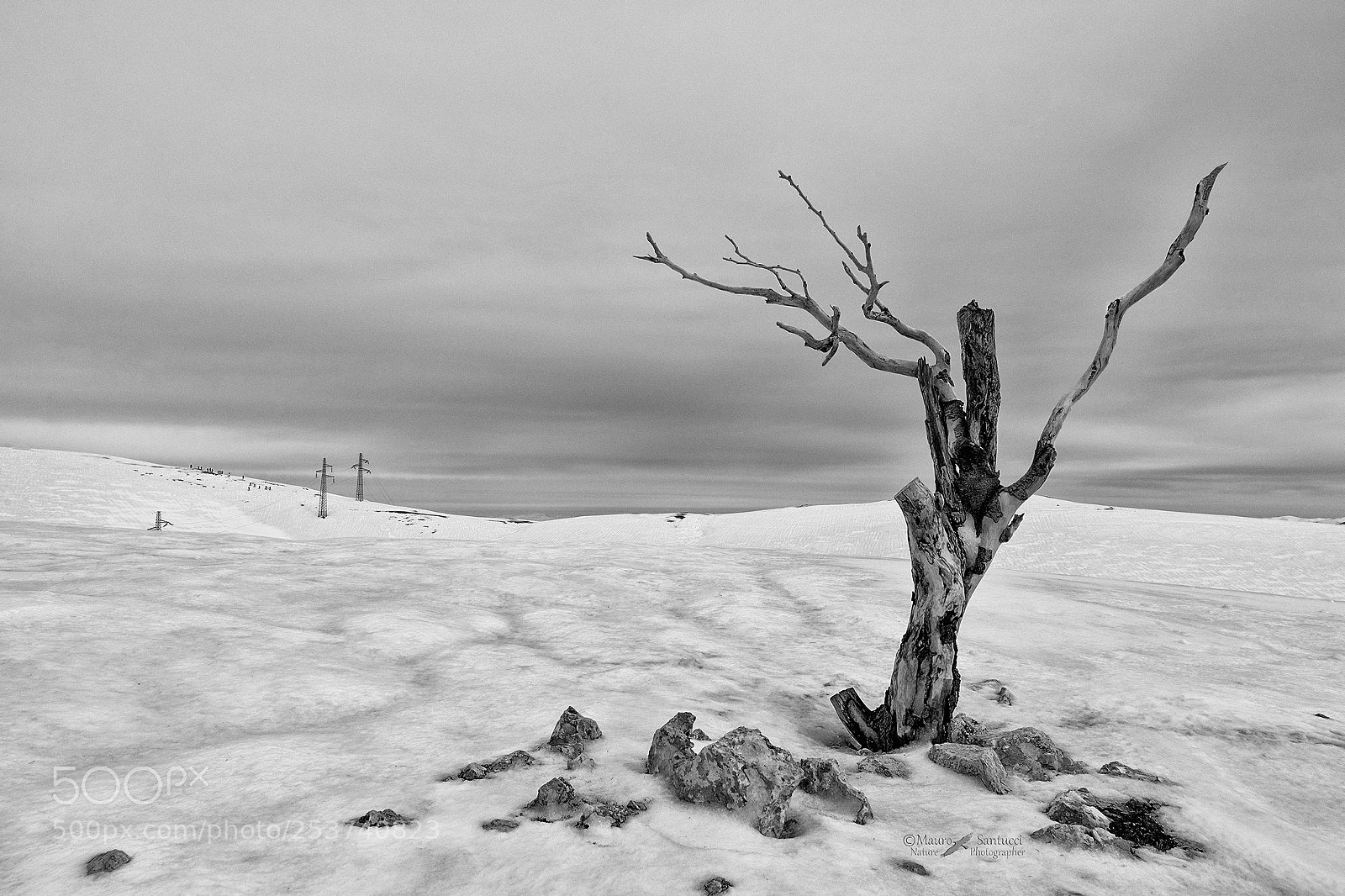 Nikon D610 sample photo. Solitario, o forse no photography