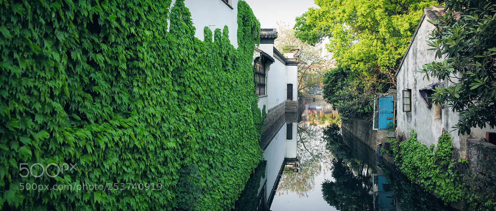 Leica M (Typ 240) sample photo. 春 · 荣 ~ 祝好！ photography