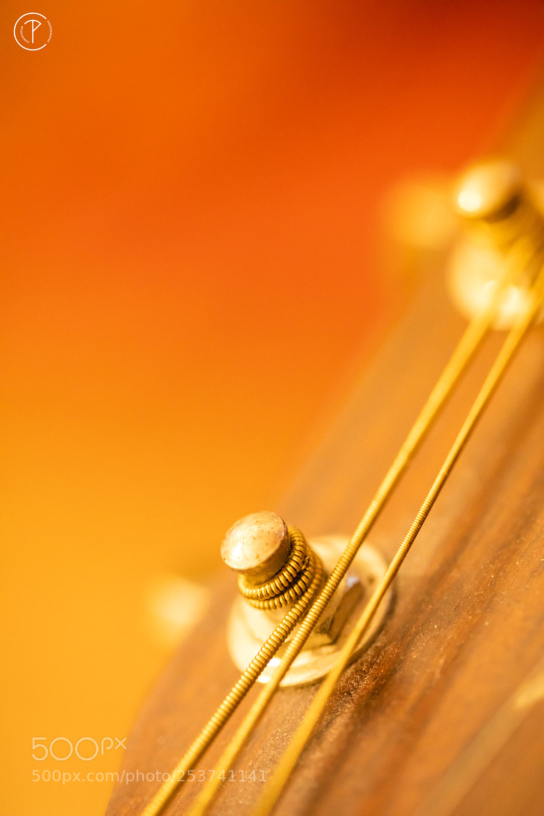 Canon EOS 5D Mark IV sample photo. Guitar passion photography