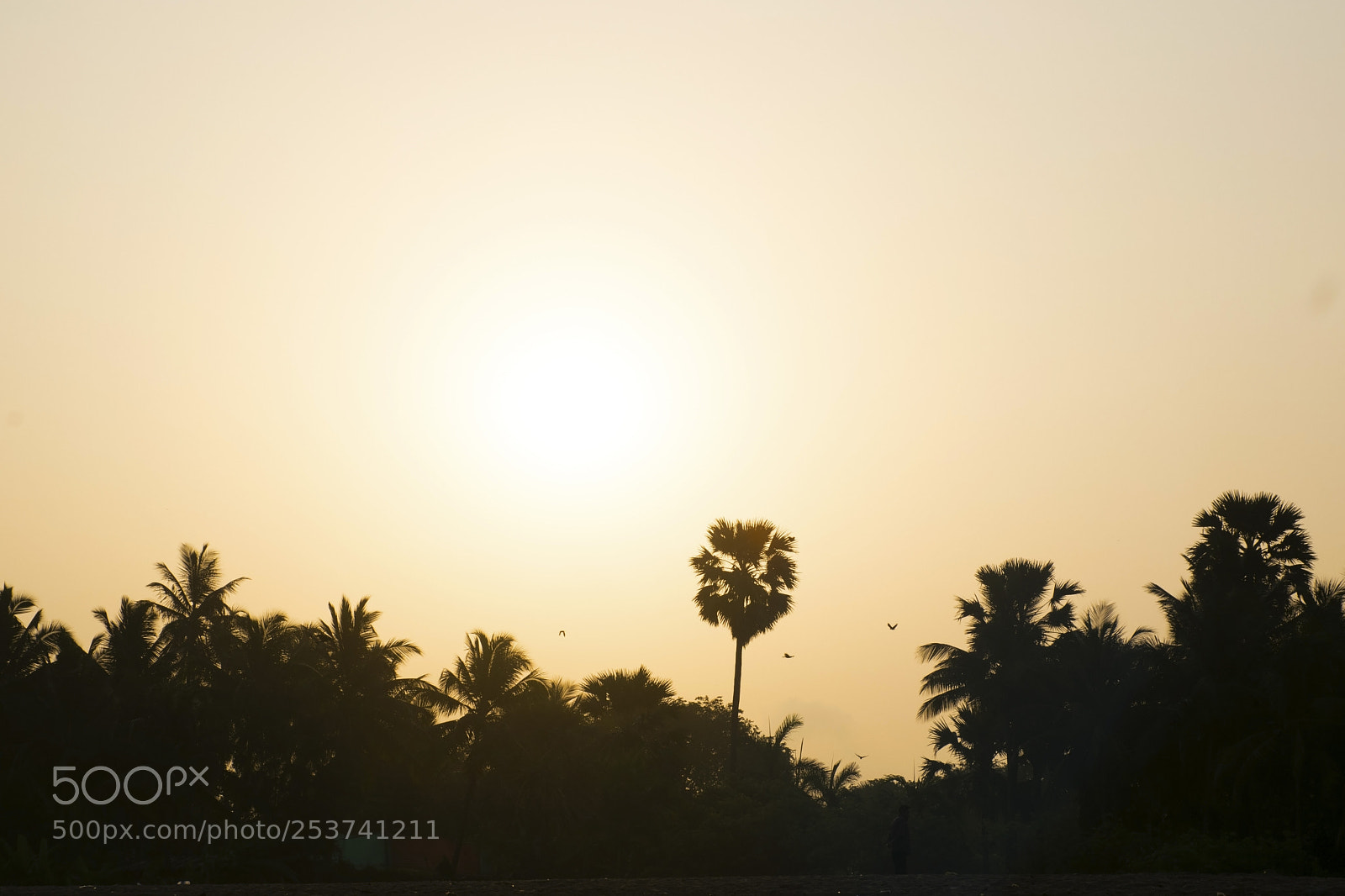 Nikon D5300 sample photo. Sunrise at aksa beach photography