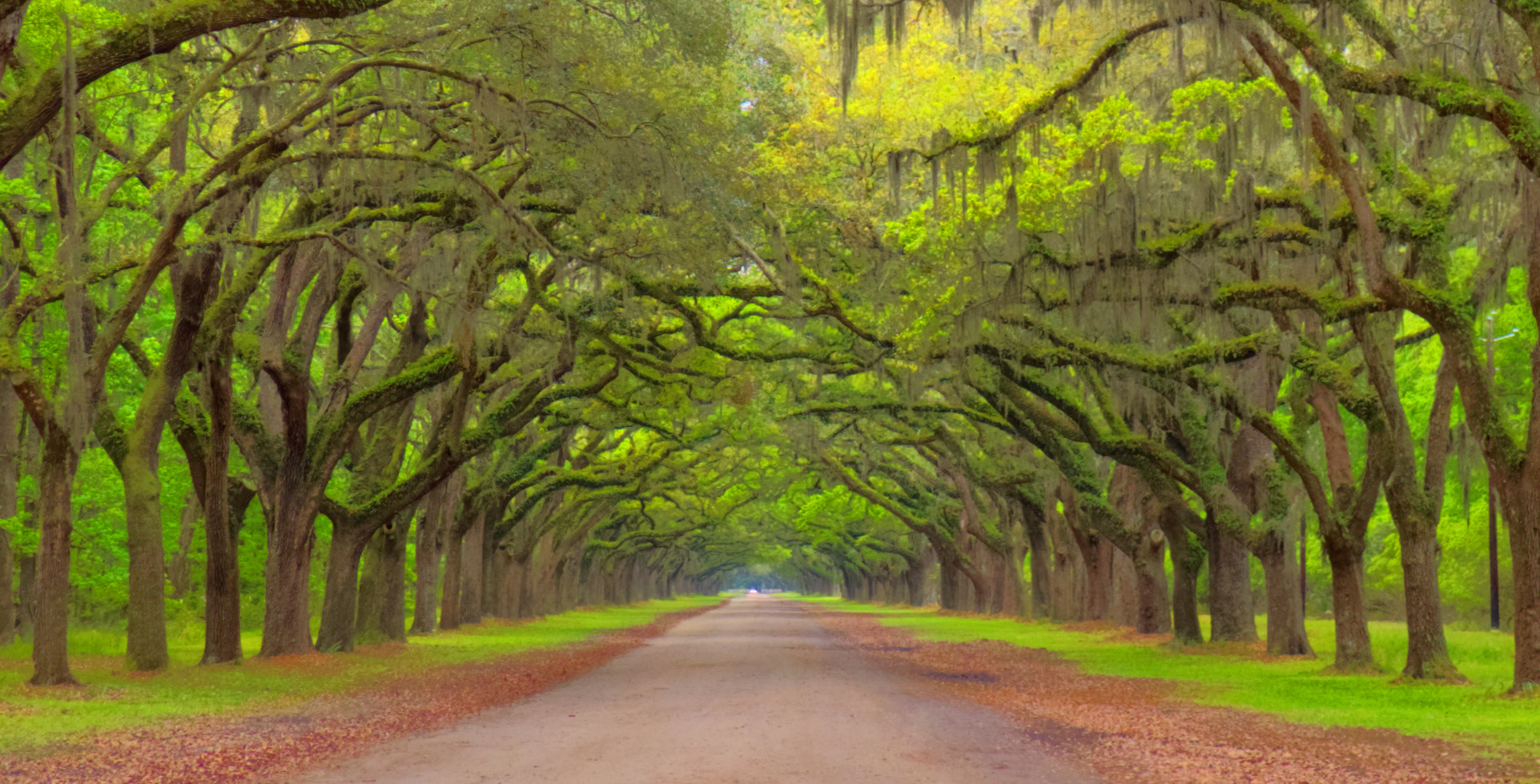 Panasonic Lumix DMC-LX5 sample photo. Wormsloe plantation photography