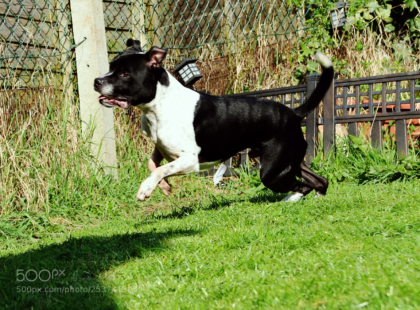Canon EOS 700D (EOS Rebel T5i / EOS Kiss X7i) sample photo. I'm running here!!! photography