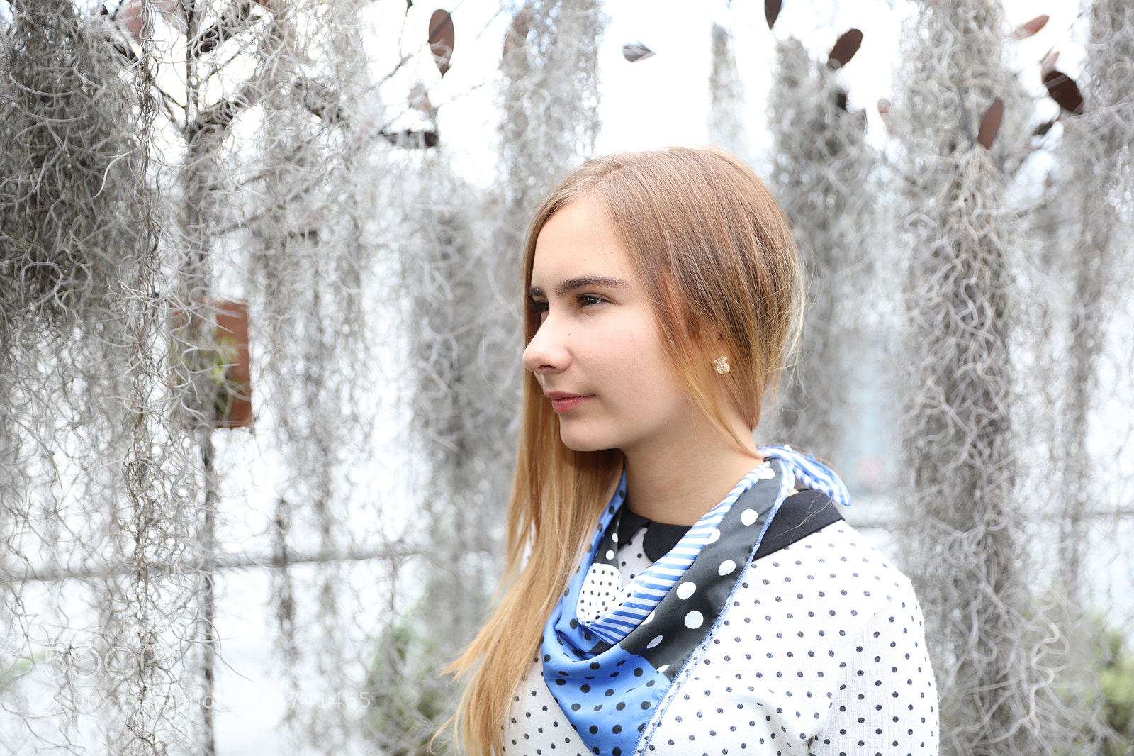 Canon EOS 5D Mark IV sample photo. Untitled photography