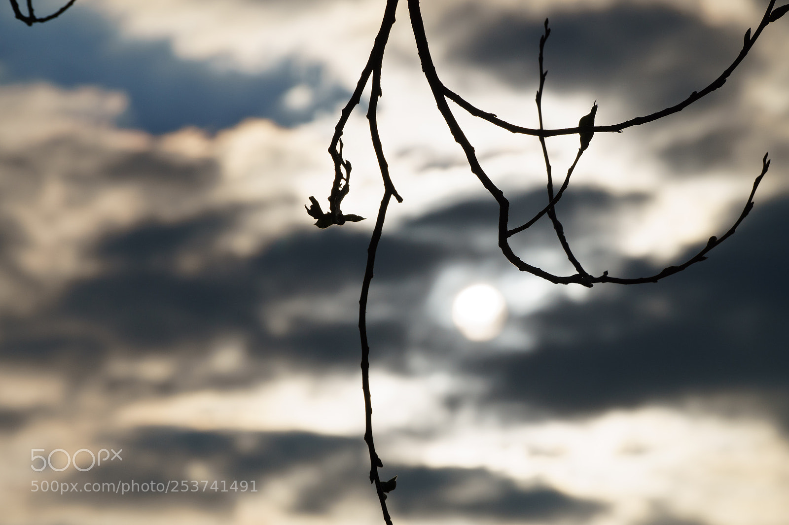Sony Alpha a5000 (ILCE 5000) sample photo. Untitled photography