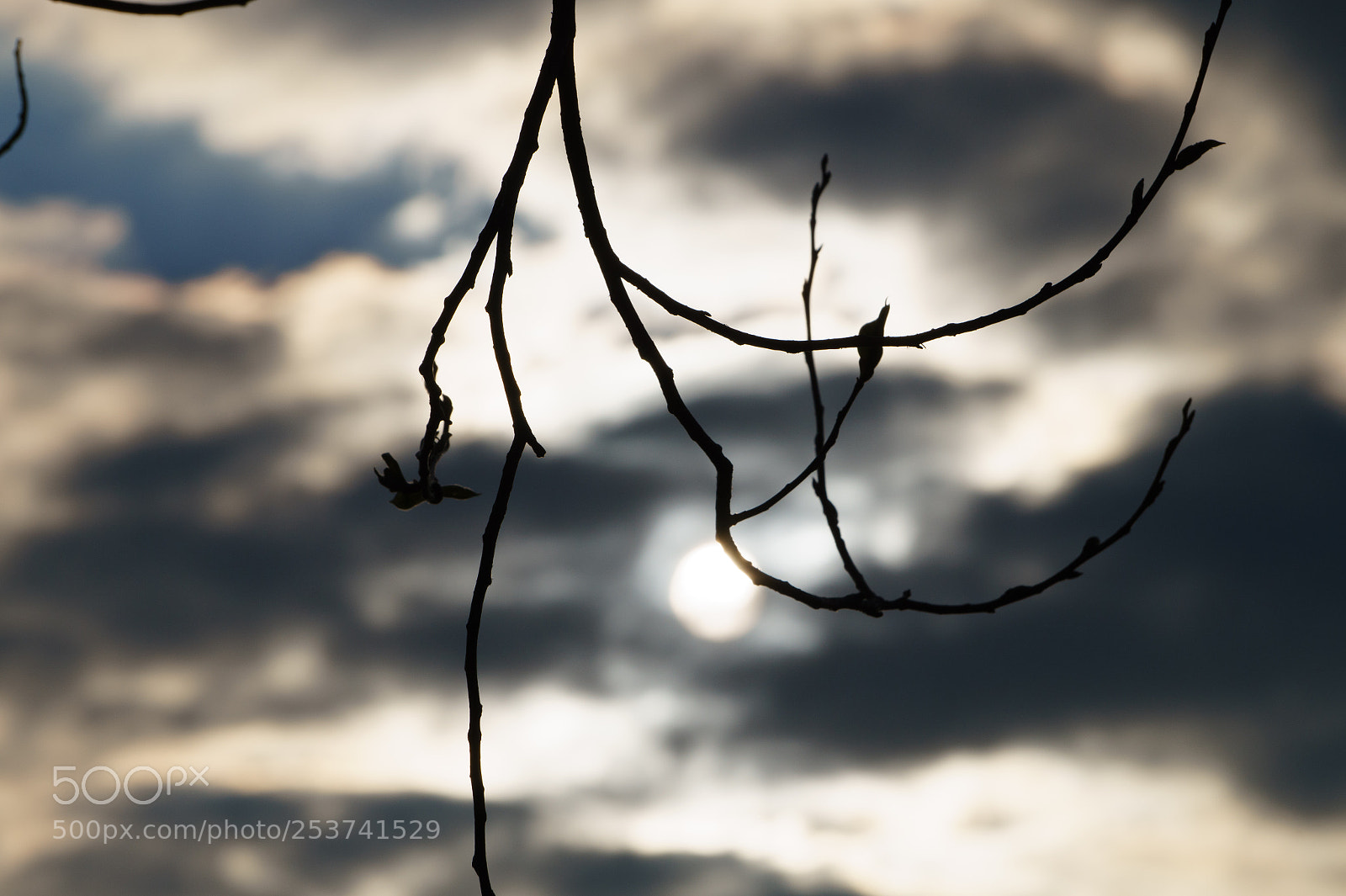 Sony Alpha a5000 (ILCE 5000) sample photo. Untitled photography