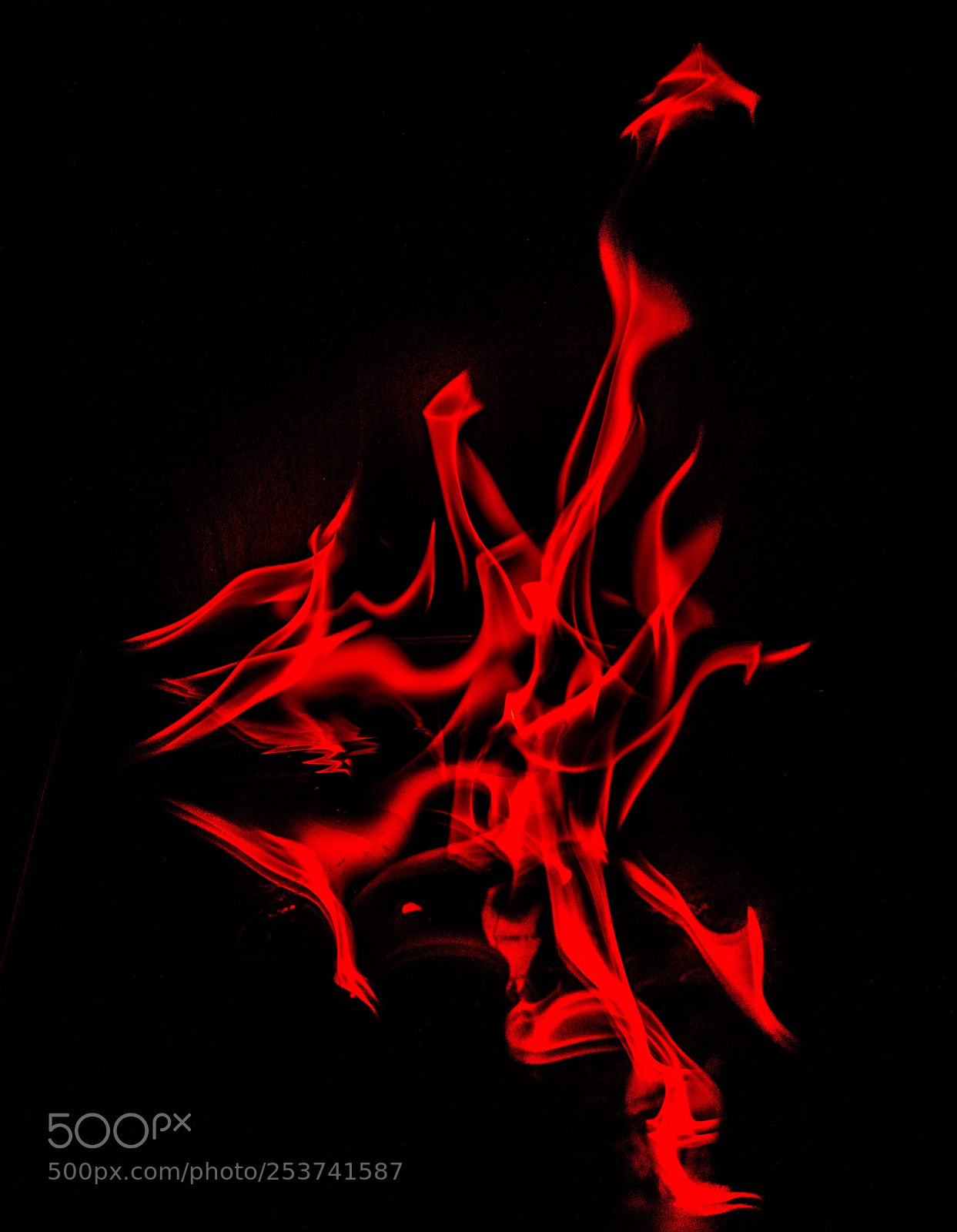 Nikon D810 sample photo. Untitled photography
