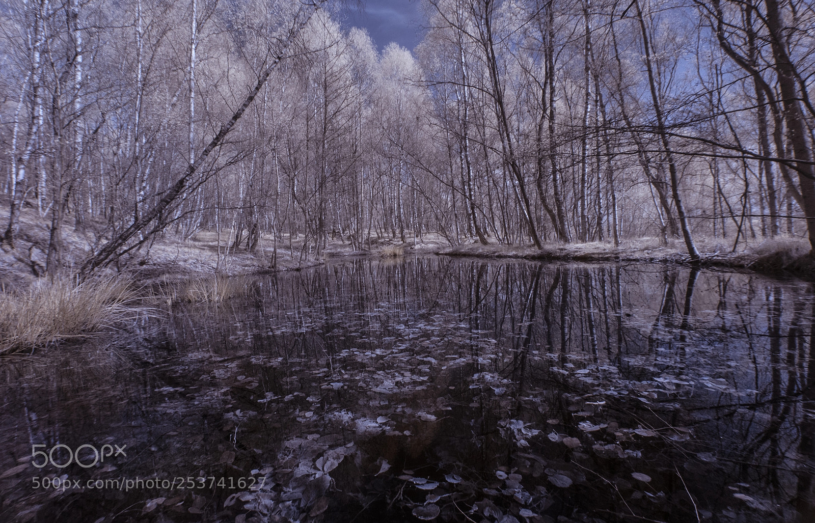 Canon EOS 500D (EOS Rebel T1i / EOS Kiss X3) sample photo. Ir lake photography