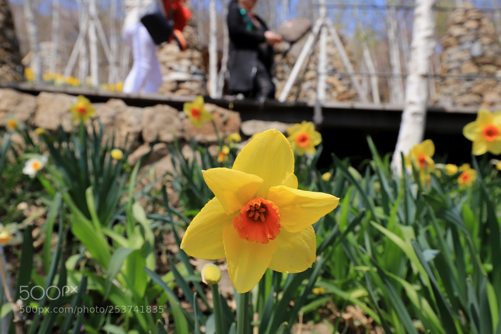 Canon EOS 6D Mark II sample photo. Spring outing photography