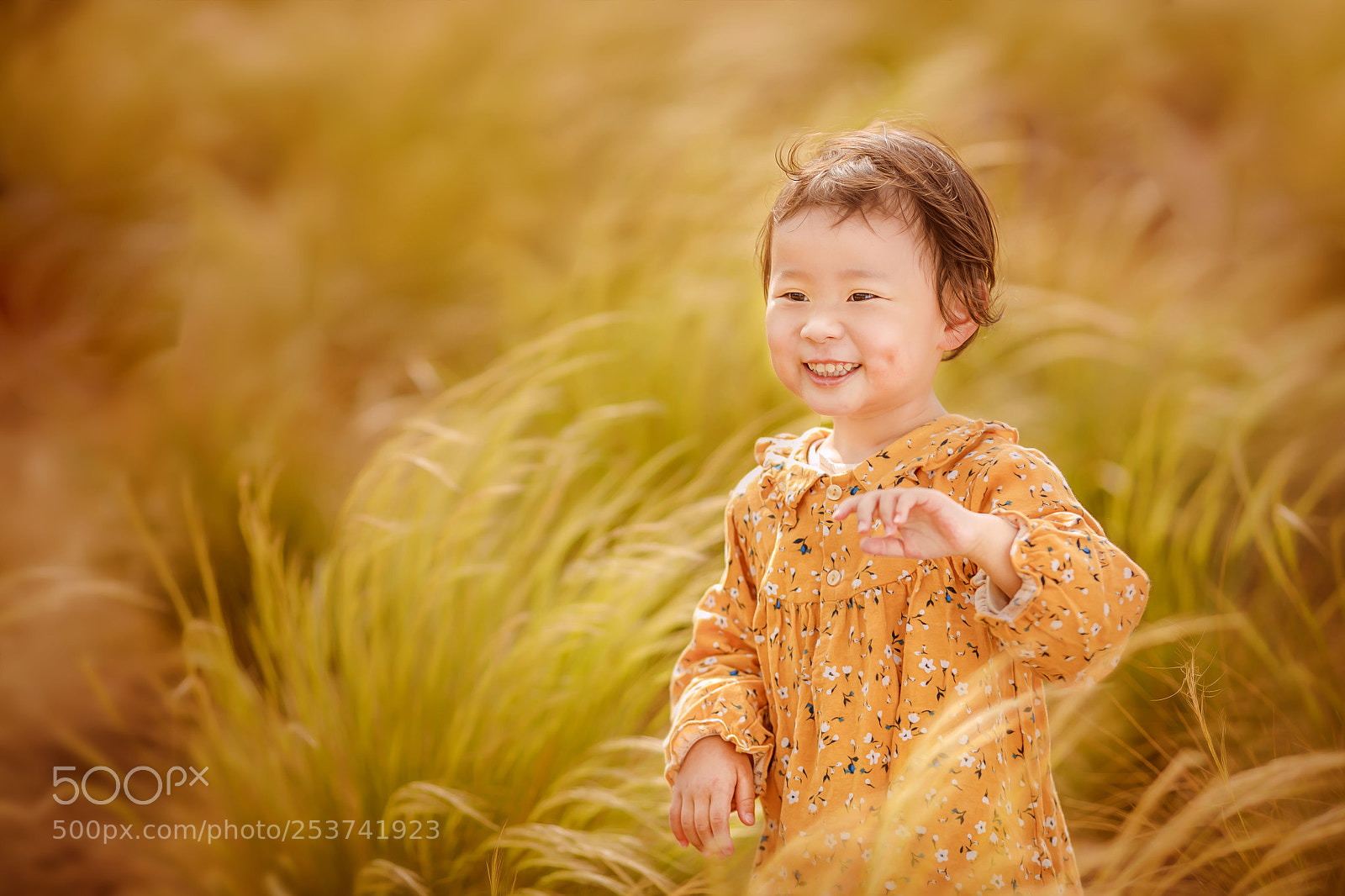 Canon EOS 5D Mark IV sample photo. Untitled photography