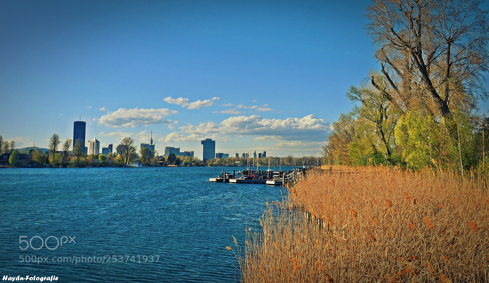 Panasonic Lumix DMC-GH4 sample photo. Nature & the city (donaustadt) photography