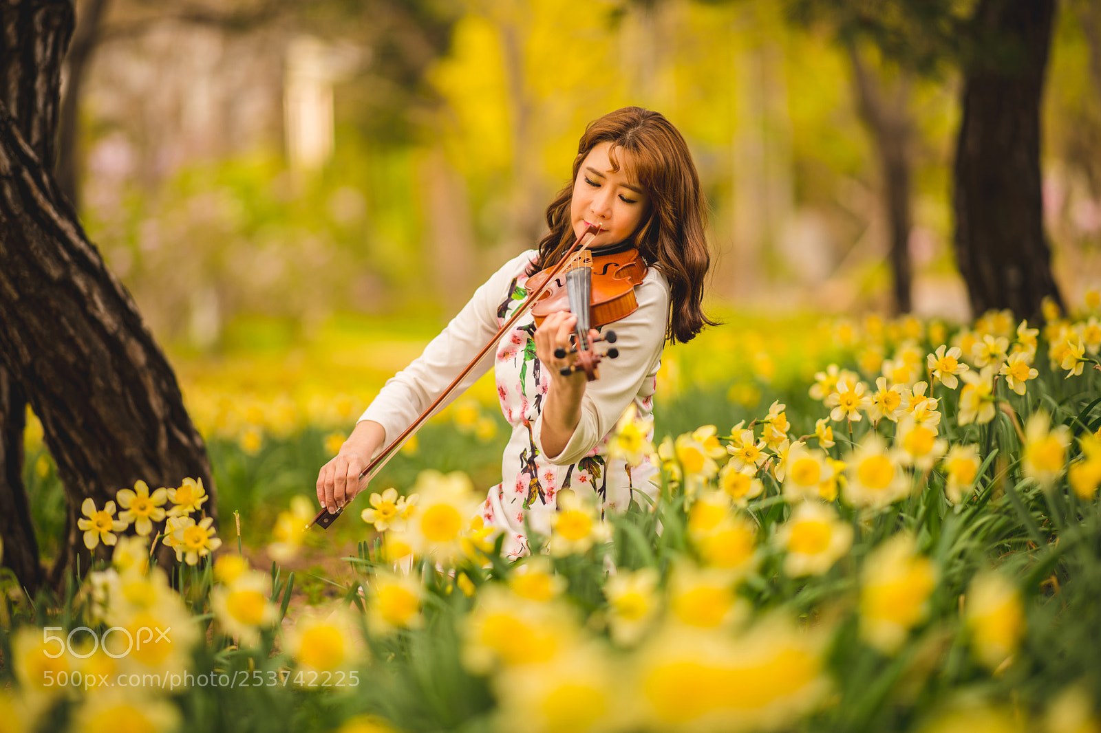 Nikon D850 sample photo. Flower & violinist photography