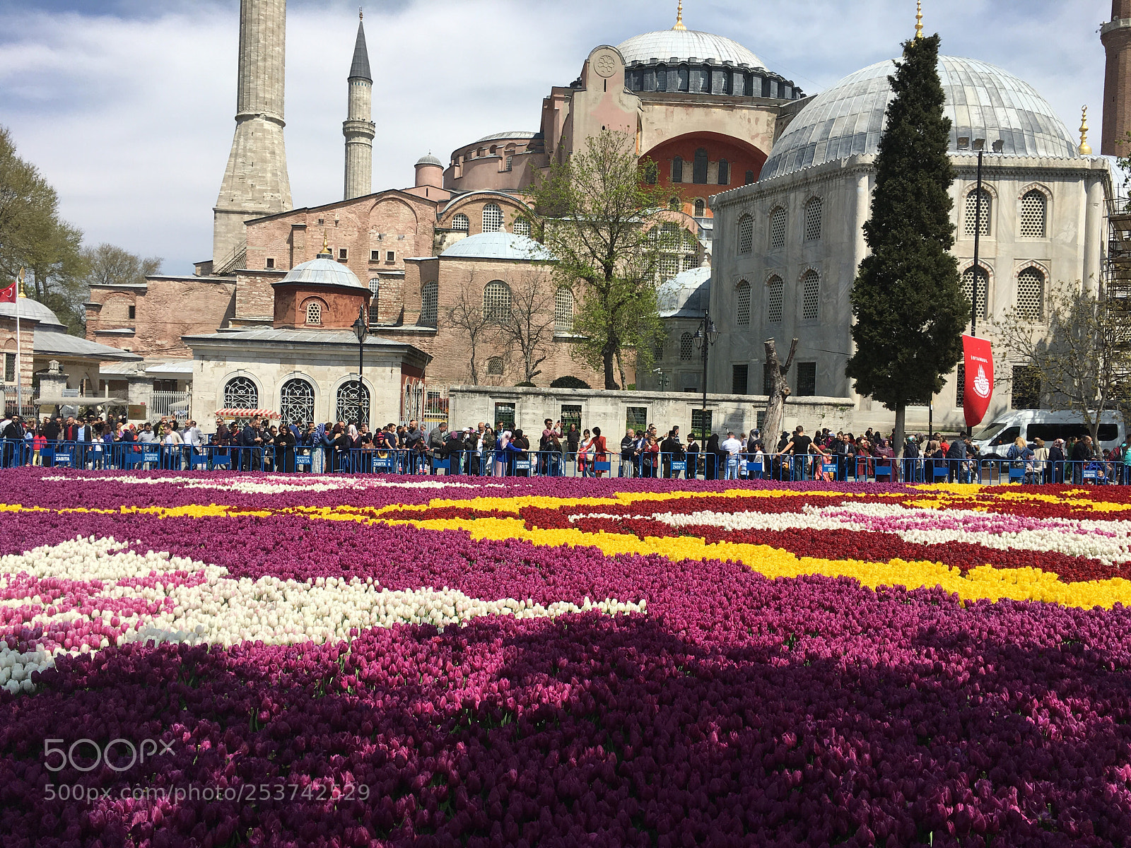 Apple iPhone 6s Plus sample photo. Tulip carpet/İstanbul  photography