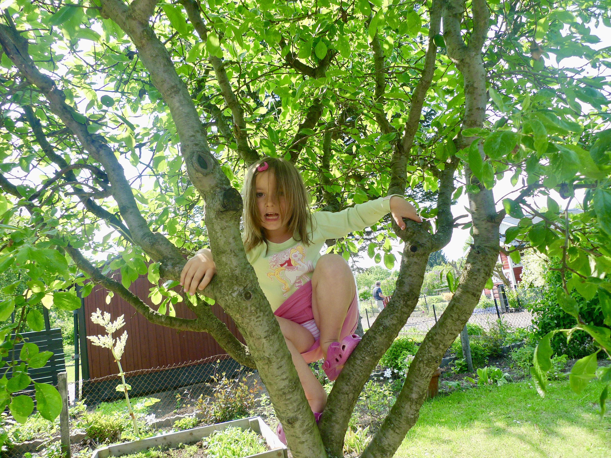 Panasonic Lumix DMC-LX3 sample photo. A grandchild photography