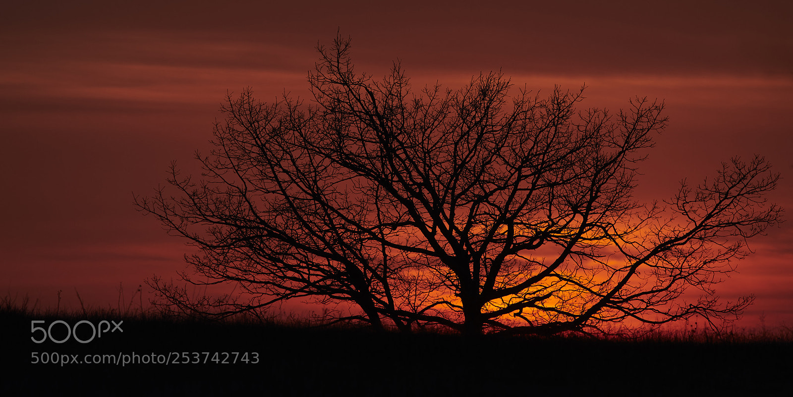 Nikon D500 sample photo. Sunset shadow photography