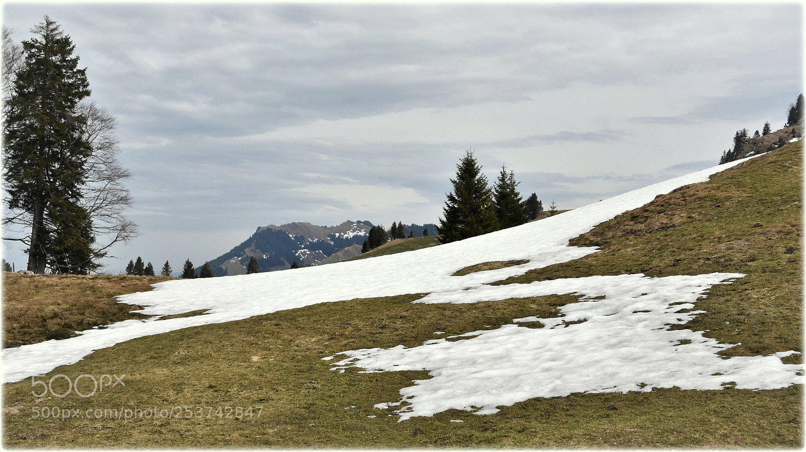 Nikon D7200 sample photo. "spring and horizont" photography