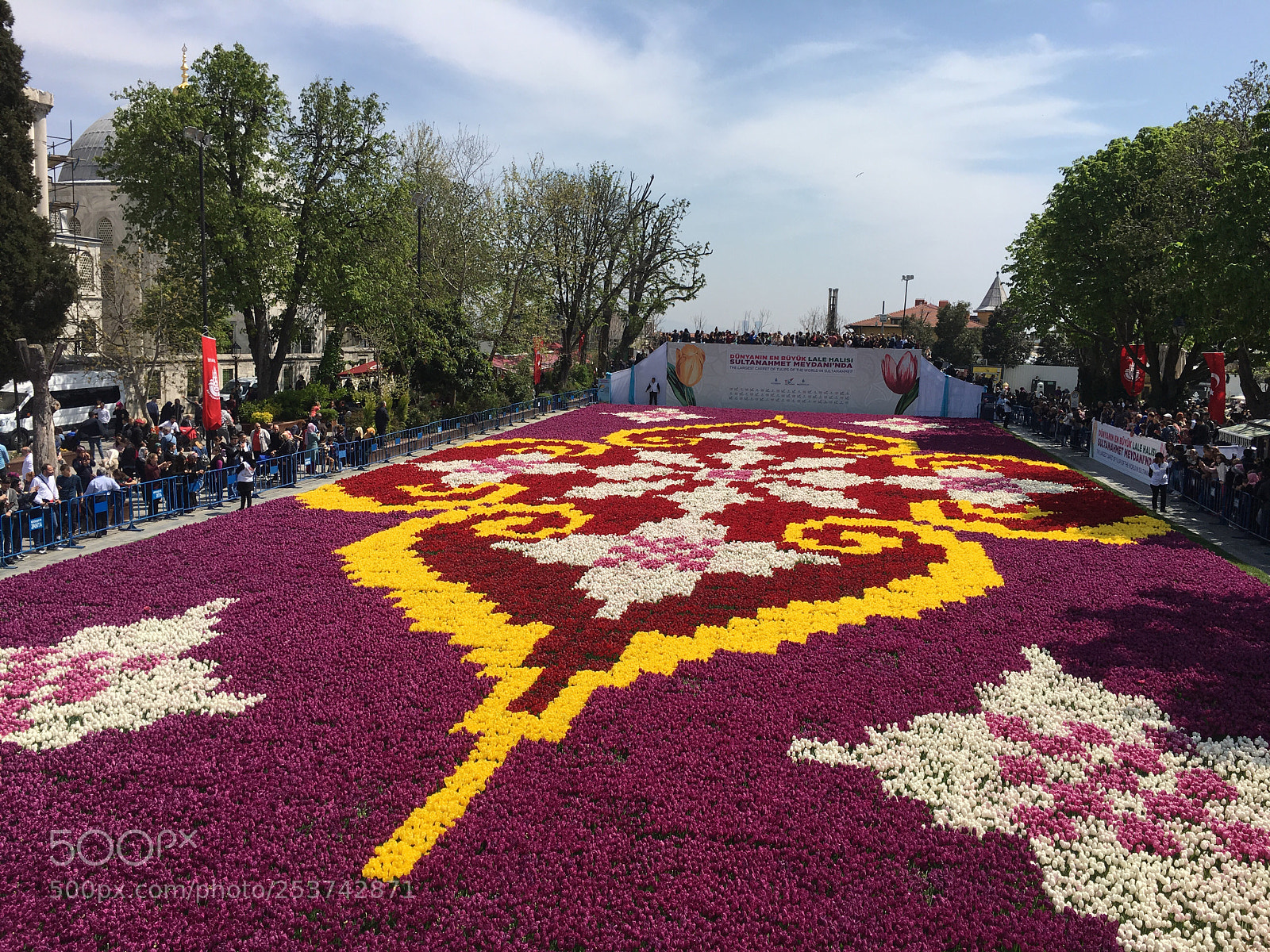 Apple iPhone 6s Plus sample photo. Tulip carpet/İstanbul  photography