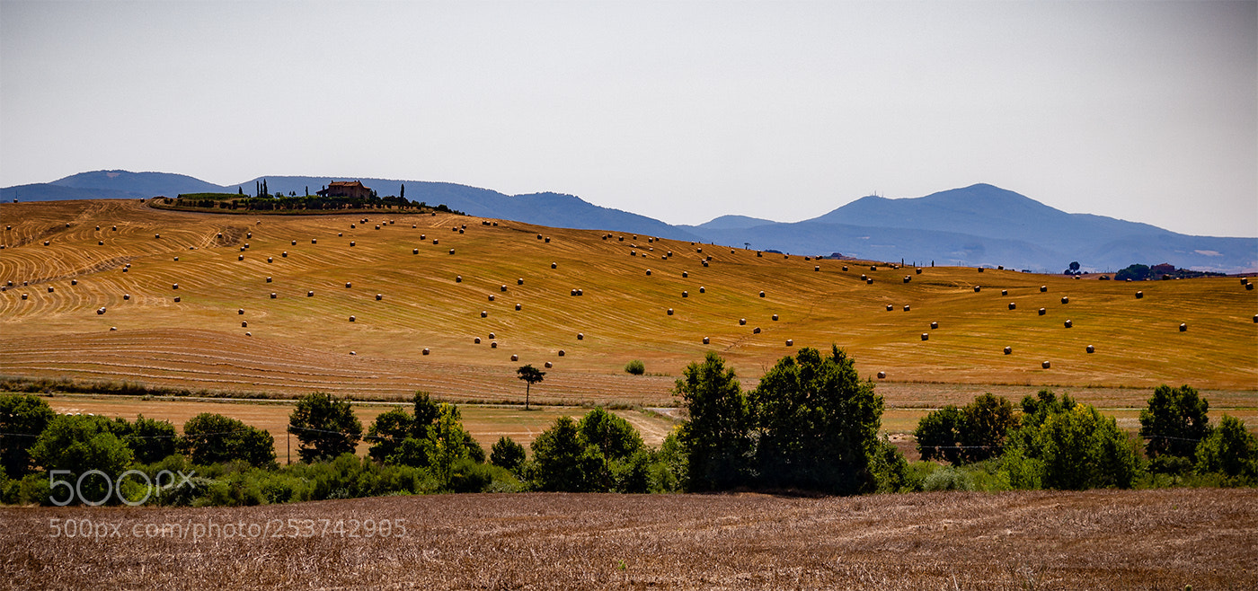 Nikon D200 sample photo. Tuscany landscape photography