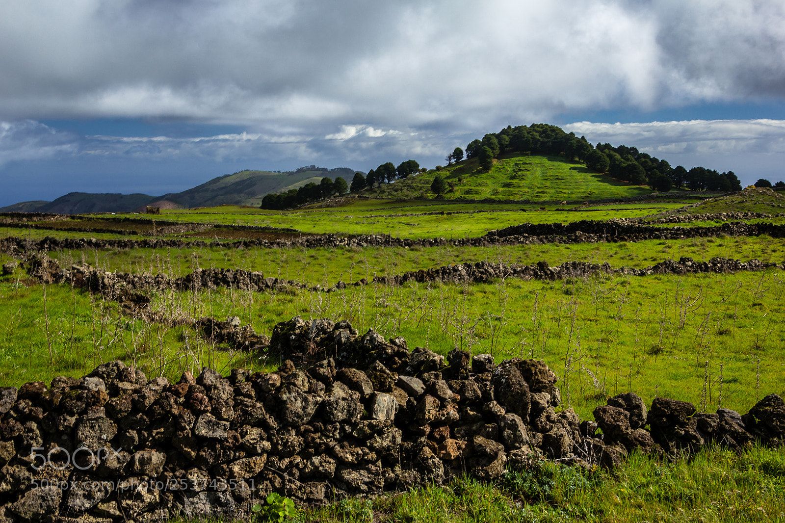 Canon EOS 60D sample photo. Grasslands of el hierro photography