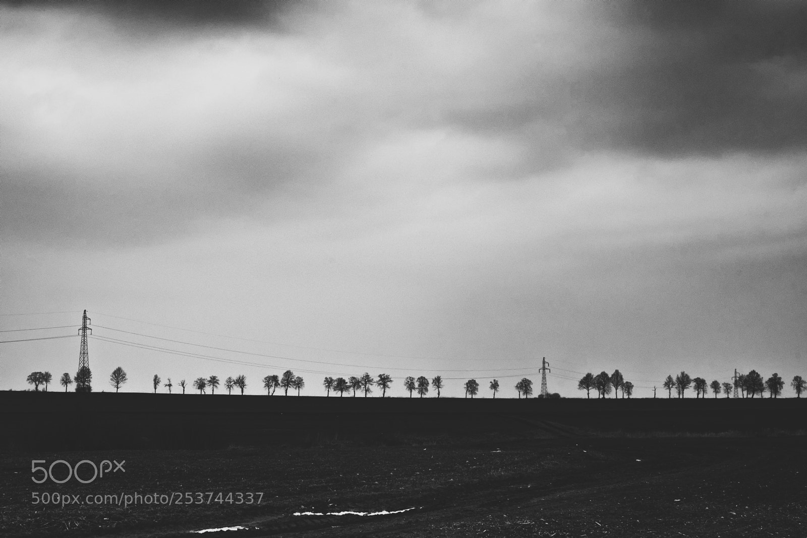Nikon D500 sample photo. Dreary landscape photography