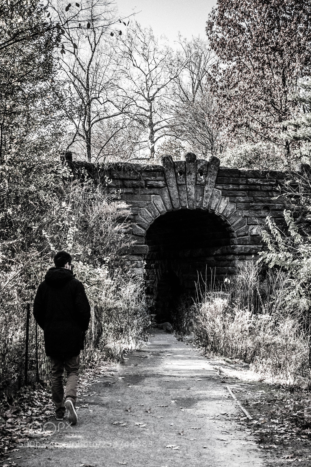 Sony Cyber-shot DSC-RX100 IV sample photo. Centralpark photography