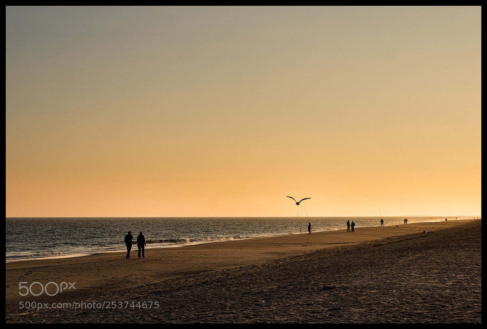 Fujifilm X-Pro1 sample photo. Manta rota, algarve, portugal photography