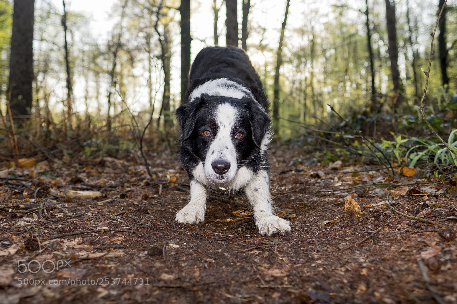 Fujifilm X-Pro1 sample photo. Do not move photography