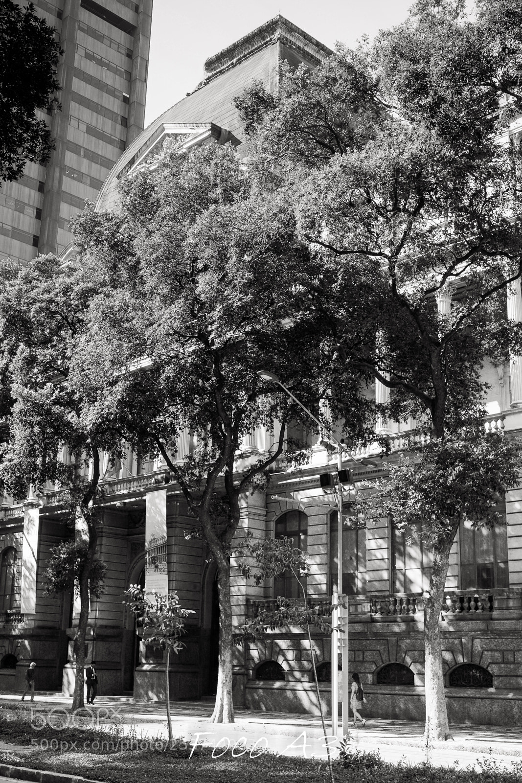 Fujifilm X-Pro1 sample photo. Editar photography