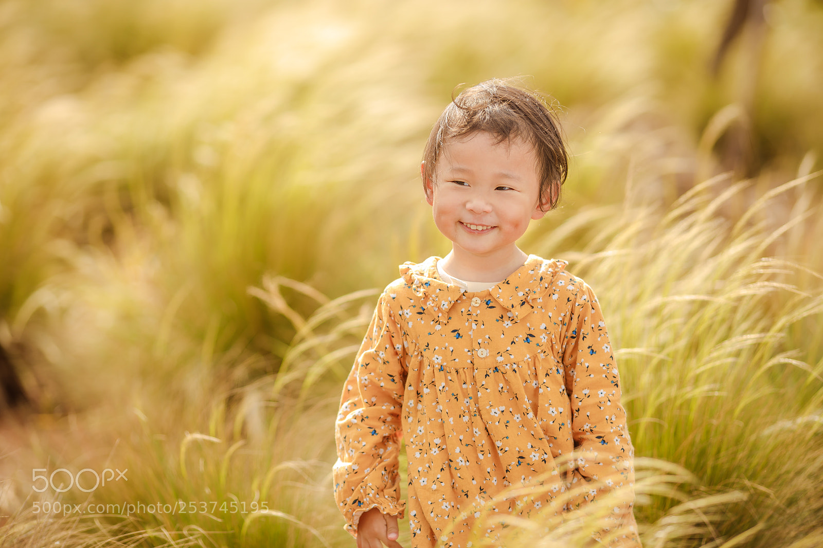 Canon EOS 5D Mark IV sample photo. Untitled photography