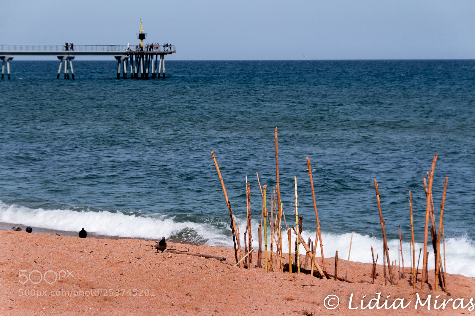 Canon EOS 700D (EOS Rebel T5i / EOS Kiss X7i) sample photo. Sea landscape photography