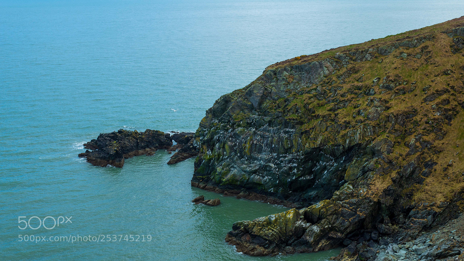Canon EOS 1300D (EOS Rebel T6 / EOS Kiss X80) sample photo. Howth head photography