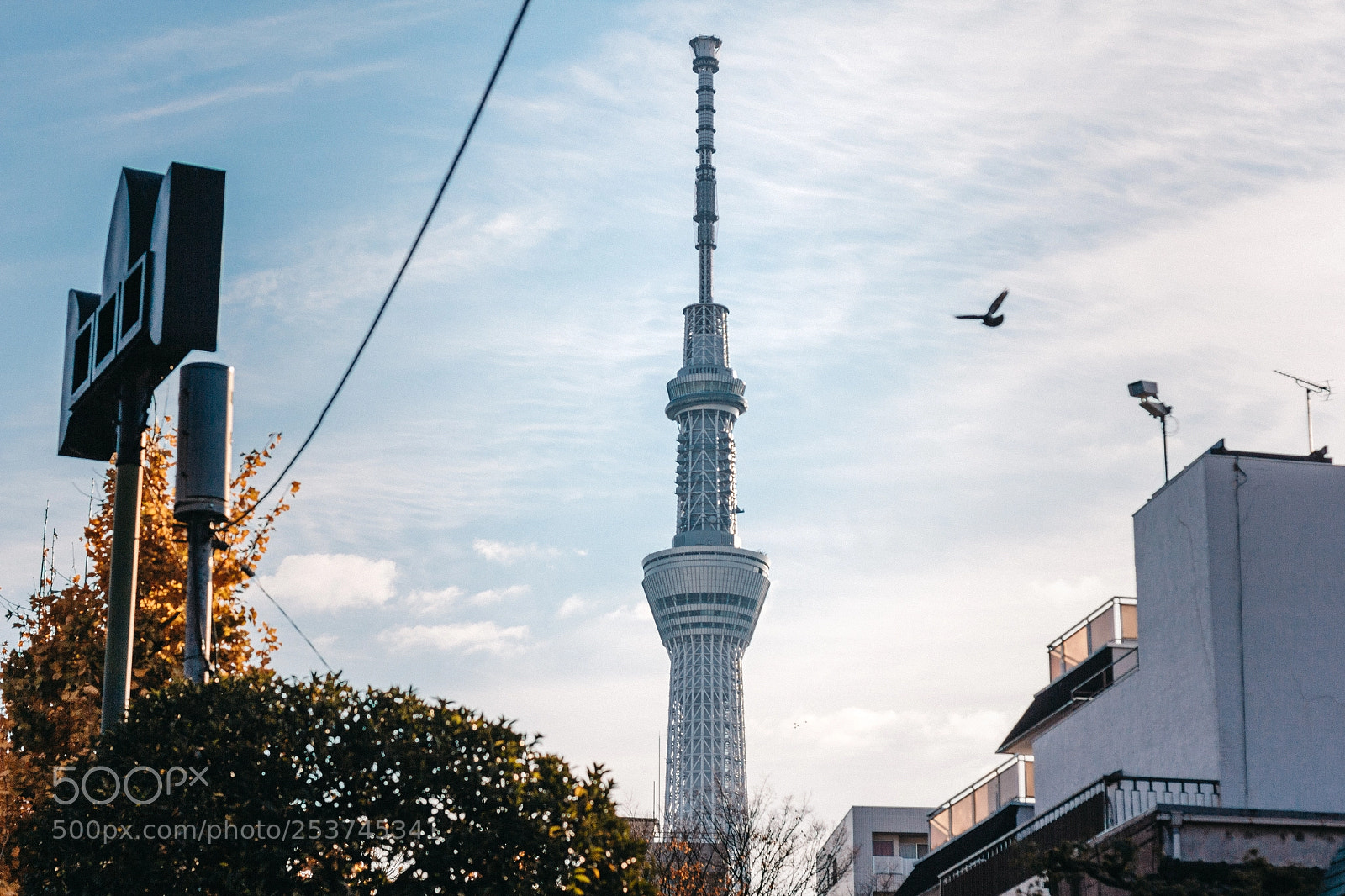 Canon EOS 60D sample photo. The spire photography