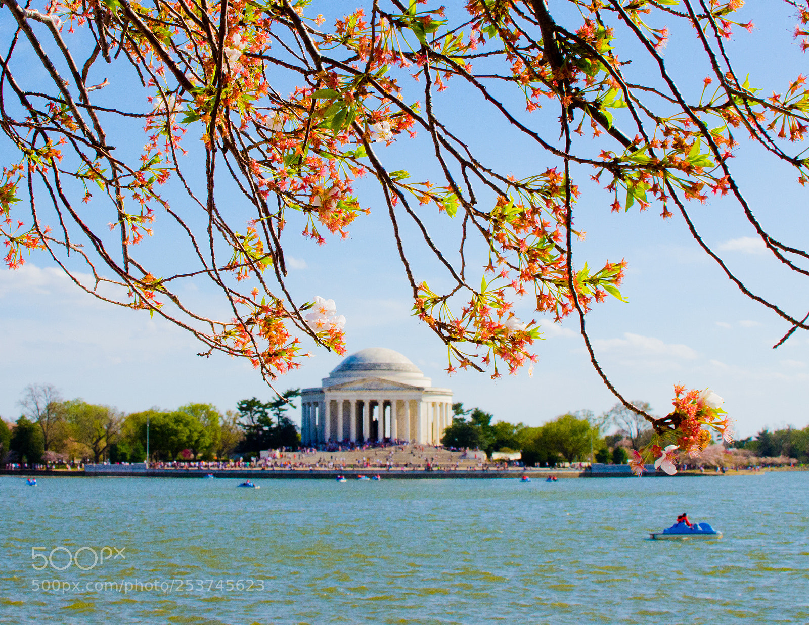 Nikon D7000 sample photo. Jefferson memorial photography