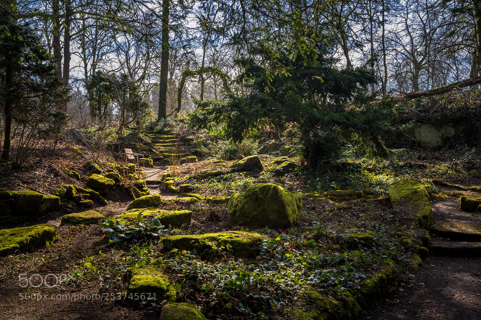 Sony Cyber-shot DSC-RX1 sample photo. Beautiful nature and park photography