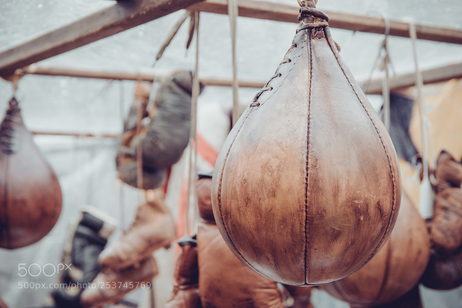 Nikon D3300 sample photo. Boxing photography