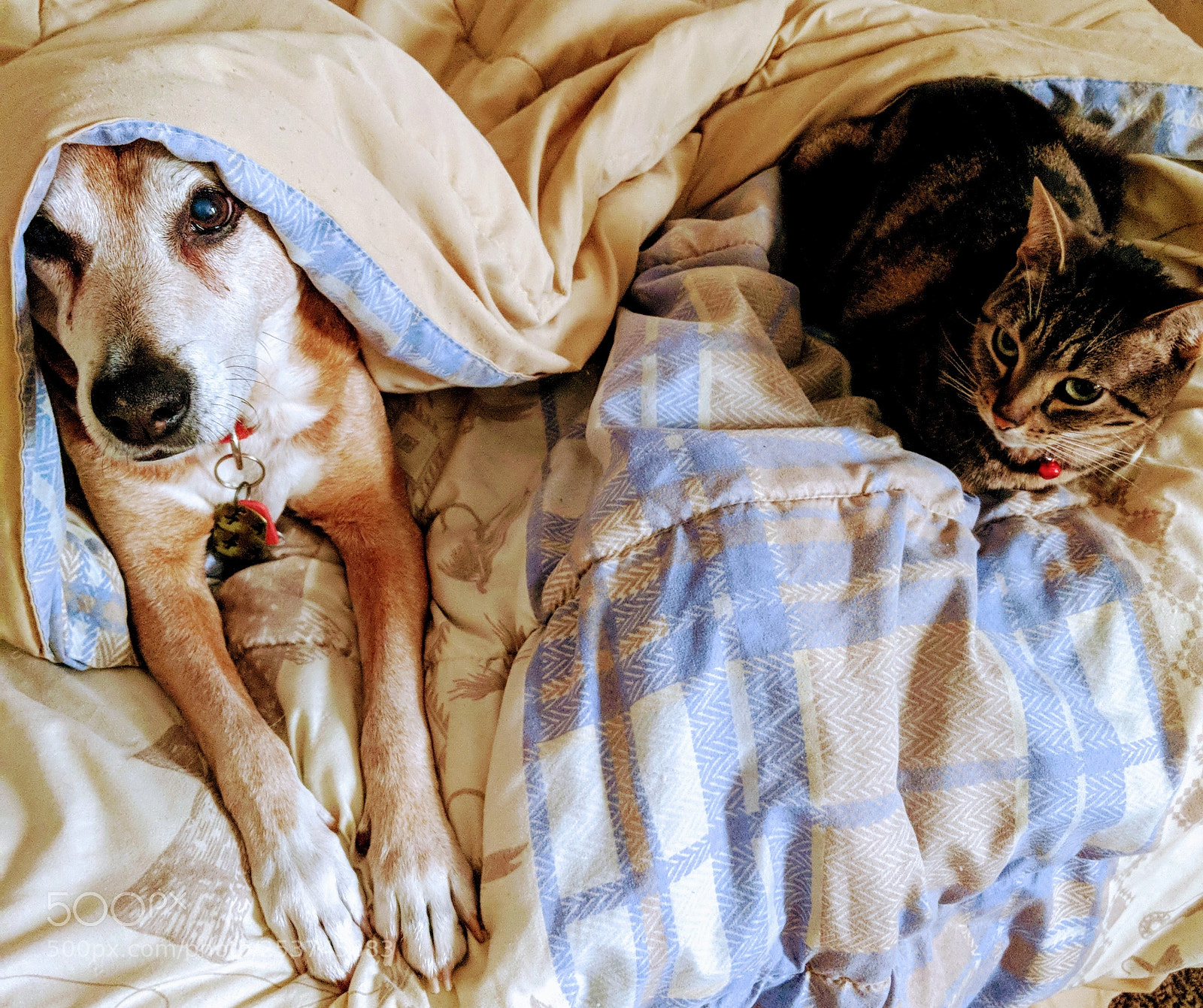 Google Pixel 2 XL sample photo. Untitled photography