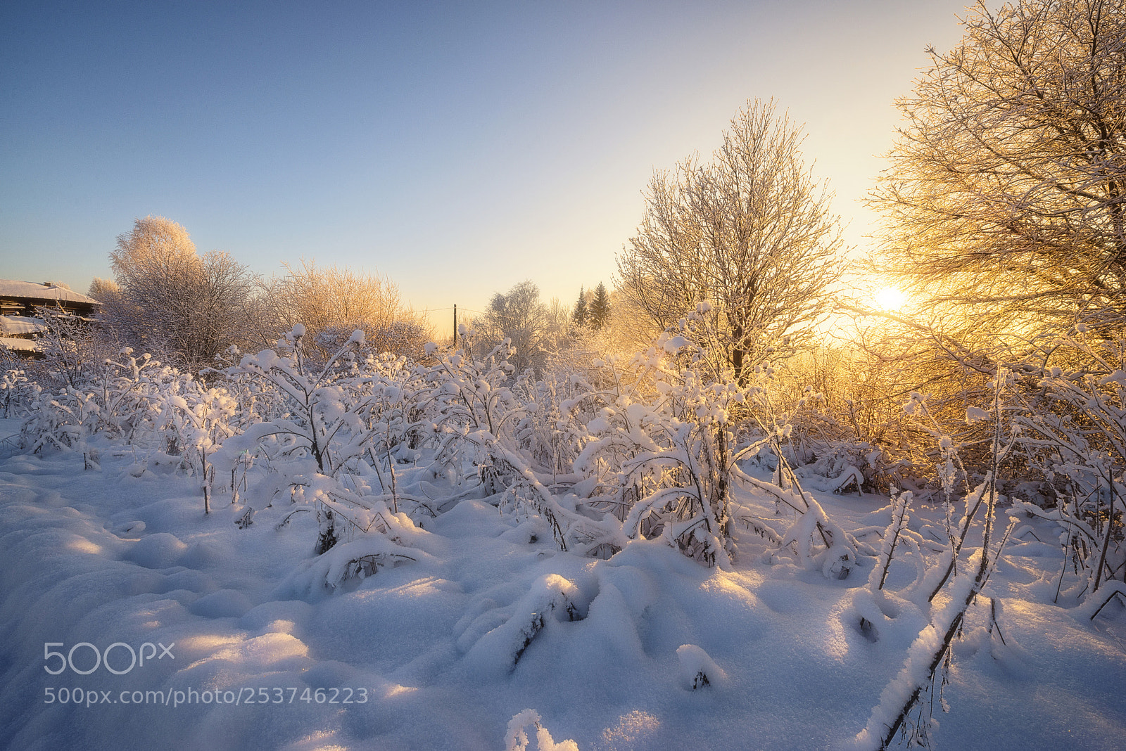 Nikon D610 sample photo. 900. winter in the photography