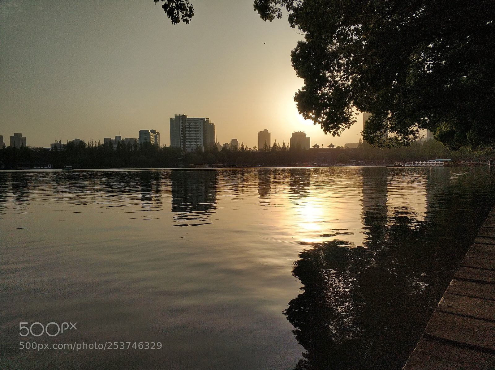 Xiaomi MI6 sample photo. Untitled photography
